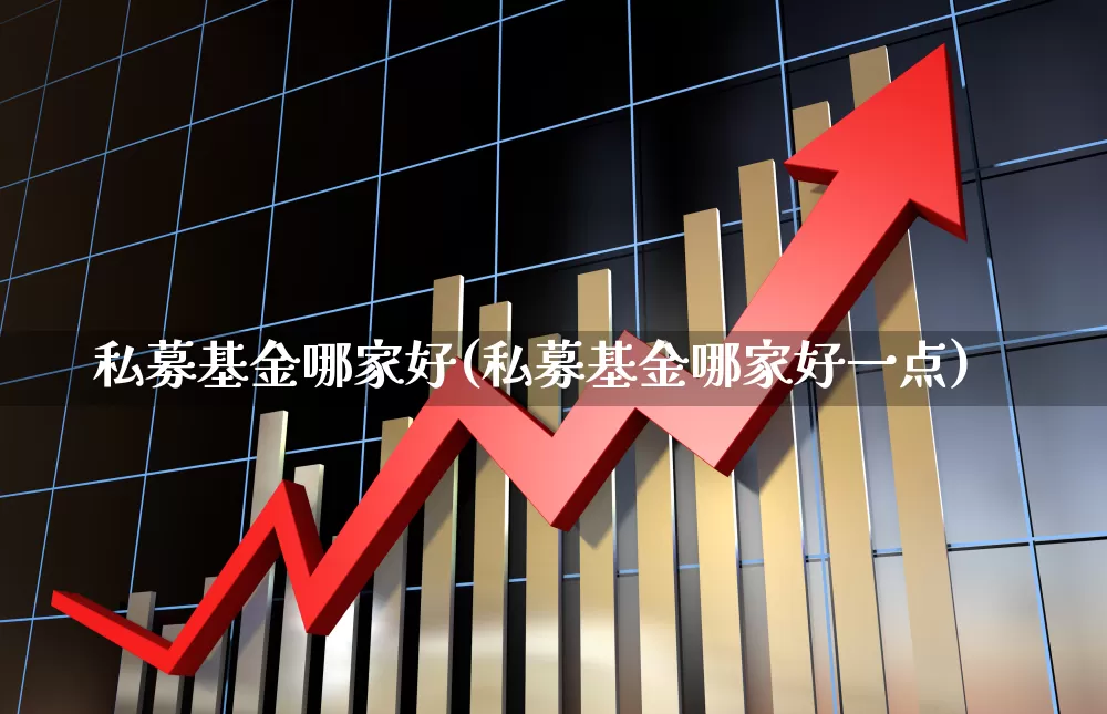 私募基金哪家好(私募基金哪家好一点)_https://www.shshucaipeisong.com_北交所_第1张
