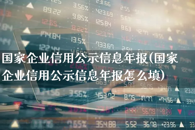 国家企业信用公示信息年报(国家企业信用公示信息年报怎么填)_https://www.shshucaipeisong.com_深交所_第1张