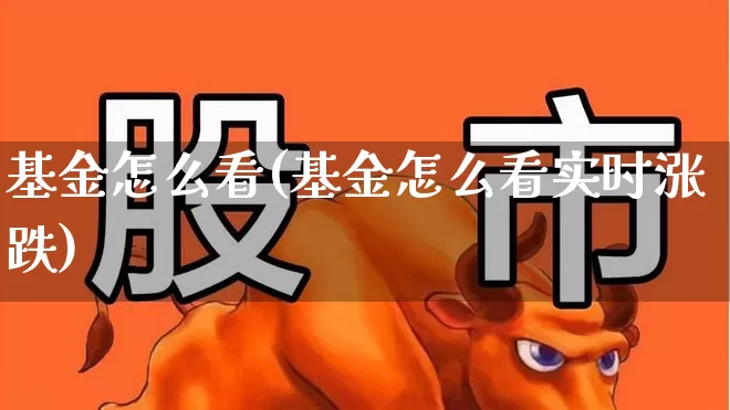 基金怎么看(基金怎么看实时涨跌)_https://www.shshucaipeisong.com_北交所_第1张
