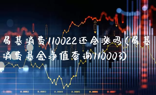 易基消费110022还会涨吗(易基消费基金净值查询110003)_https://www.shshucaipeisong.com_北交所_第1张