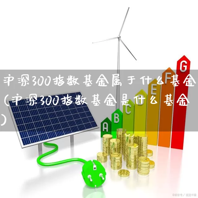 沪深300指数基金属于什么基金(沪深300指数基金是什么基金)_https://www.shshucaipeisong.com_上交所_第1张