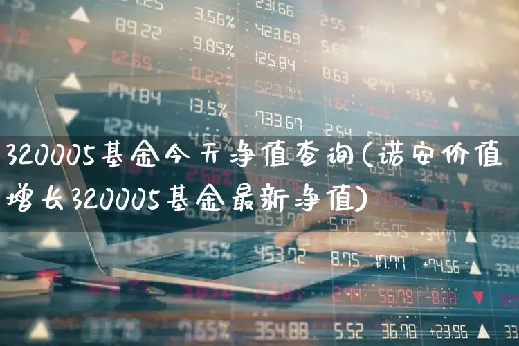 320005基金今天净值查询(诺安价值增长320005基金最新净值)_https://www.shshucaipeisong.com_上交所_第1张