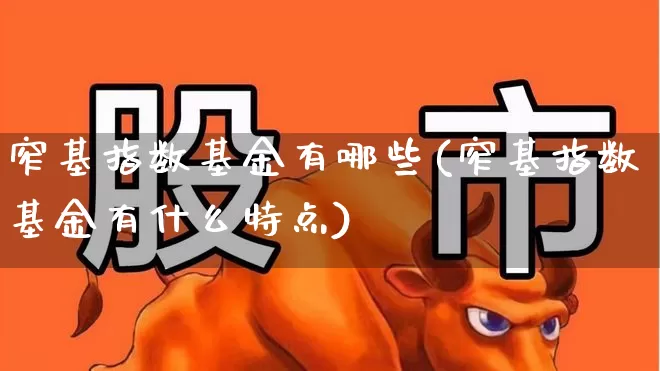 窄基指数基金有哪些(窄基指数基金有什么特点)_https://www.shshucaipeisong.com_深交所_第1张