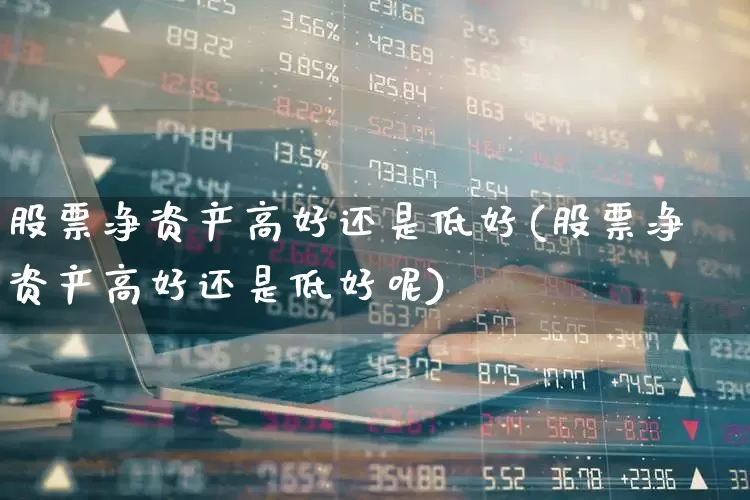 股票净资产高好还是低好(股票净资产高好还是低好呢)_https://www.shshucaipeisong.com_上交所_第1张