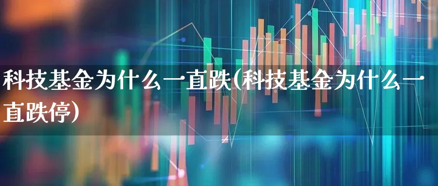 科技基金为什么一直跌(科技基金为什么一直跌停)_https://www.shshucaipeisong.com_创业板_第1张