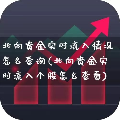 北向资金实时流入情况怎么查询(北向资金实时流入个股怎么查看)_https://www.shshucaipeisong.com_深交所_第1张