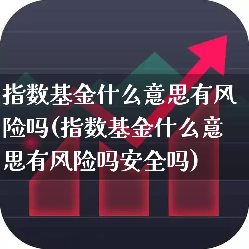 指数基金什么意思有风险吗(指数基金什么意思有风险吗安全吗)_https://www.shshucaipeisong.com_北交所_第1张