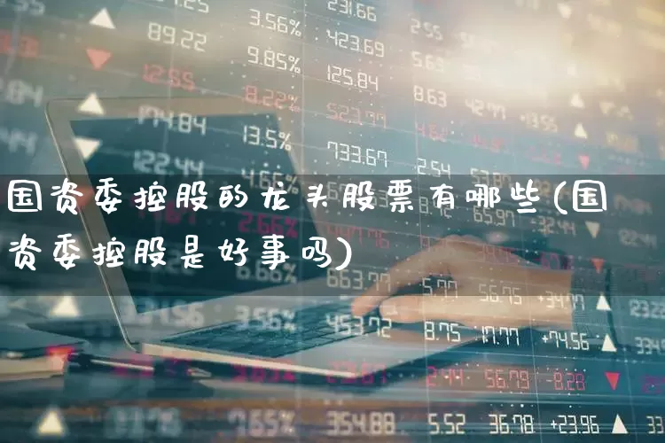 国资委控股的龙头股票有哪些(国资委控股是好事吗)_https://www.shshucaipeisong.com_上交所_第1张