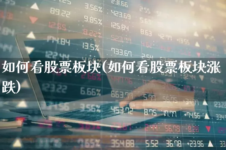 如何看股票板块(如何看股票板块涨跌)_https://www.shshucaipeisong.com_北交所_第1张