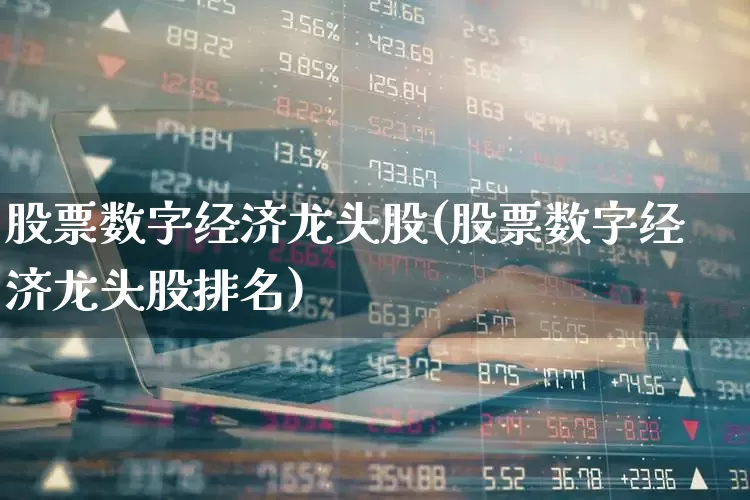 股票数字经济龙头股(股票数字经济龙头股排名)_https://www.shshucaipeisong.com_创业板_第1张