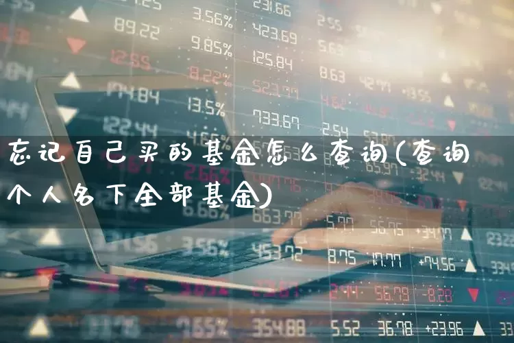 忘记自己买的基金怎么查询(查询个人名下全部基金)_https://www.shshucaipeisong.com_北交所_第1张