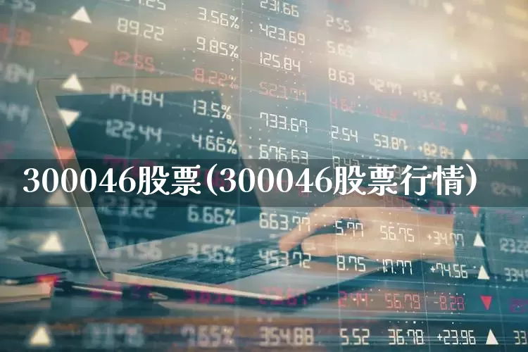 300046股票(300046股票行情)_https://www.shshucaipeisong.com_创业板_第1张