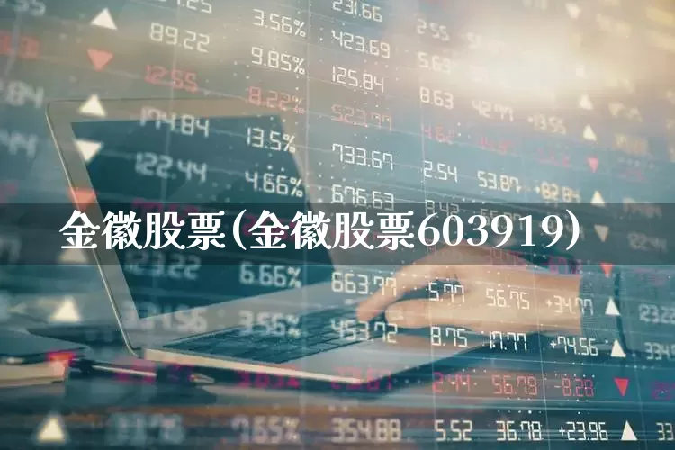 金徽股票(金徽股票603919)_https://www.shshucaipeisong.com_北交所_第1张