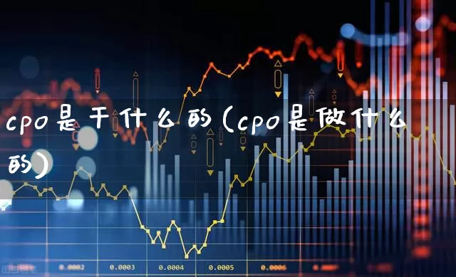 cpo是干什么的(cpo是做什么的)_https://www.shshucaipeisong.com_北交所_第1张