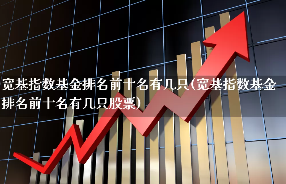 宽基指数基金排名前十名有几只(宽基指数基金排名前十名有几只股票)_https://www.shshucaipeisong.com_科创板_第1张