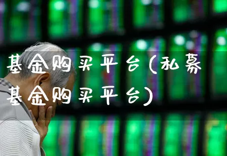 基金购买平台(私募基金购买平台)_https://www.shshucaipeisong.com_深交所_第1张