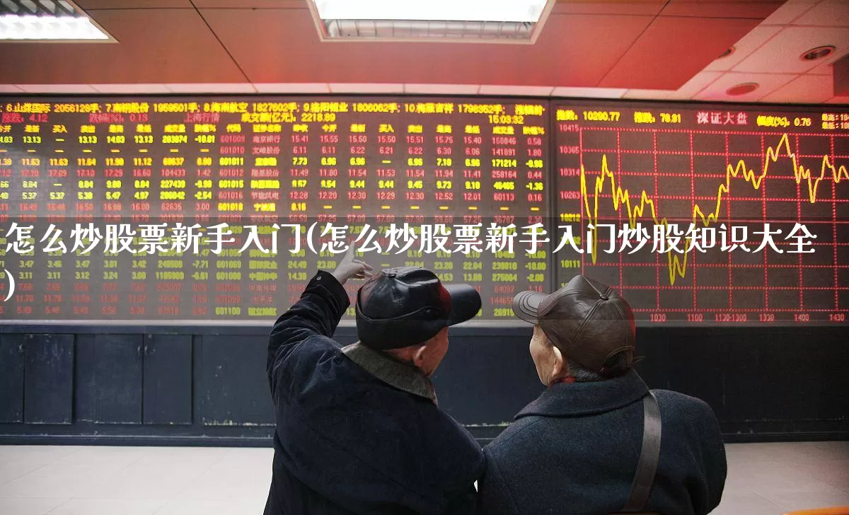 怎么炒股票新手入门(怎么炒股票新手入门炒股知识大全)_https://www.shshucaipeisong.com_深交所_第1张