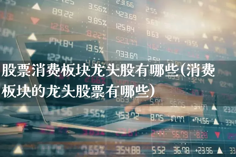 股票消费板块龙头股有哪些(消费板块的龙头股票有哪些)_https://www.shshucaipeisong.com_深交所_第1张