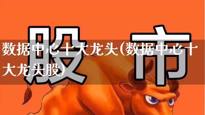数据中心十大龙头(数据中心十大龙头股)_https://www.shshucaipeisong.com_深交所_第1张