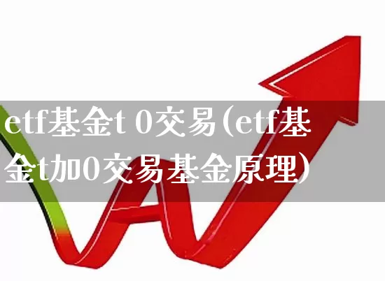 etf基金t 0交易(etf基金t加0交易基金原理)_https://www.shshucaipeisong.com_创业板_第1张
