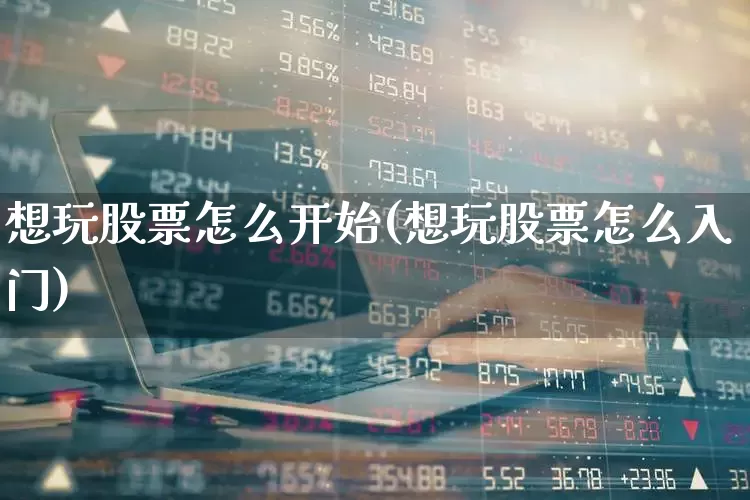 想玩股票怎么开始(想玩股票怎么入门)_https://www.shshucaipeisong.com_科创板_第1张