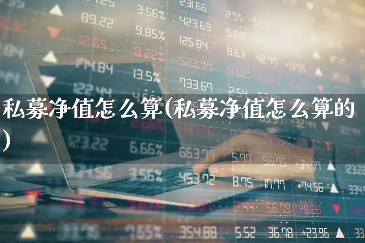 私募净值怎么算(私募净值怎么算的)_https://www.shshucaipeisong.com_深交所_第1张