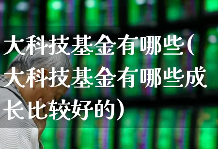 大科技基金有哪些(大科技基金有哪些成长比较好的)_https://www.shshucaipeisong.com_北交所_第1张