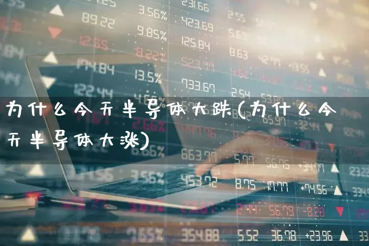 为什么今天半导体大跌(为什么今天半导体大涨)_https://www.shshucaipeisong.com_创业板_第1张