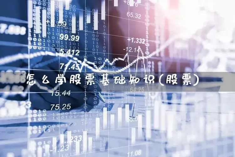怎么学股票基础知识(股票)_https://www.shshucaipeisong.com_创业板_第1张