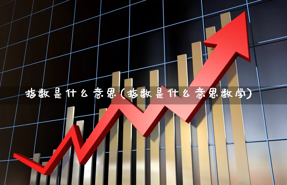 指数是什么意思(指数是什么意思数学)_https://www.shshucaipeisong.com_科创板_第1张