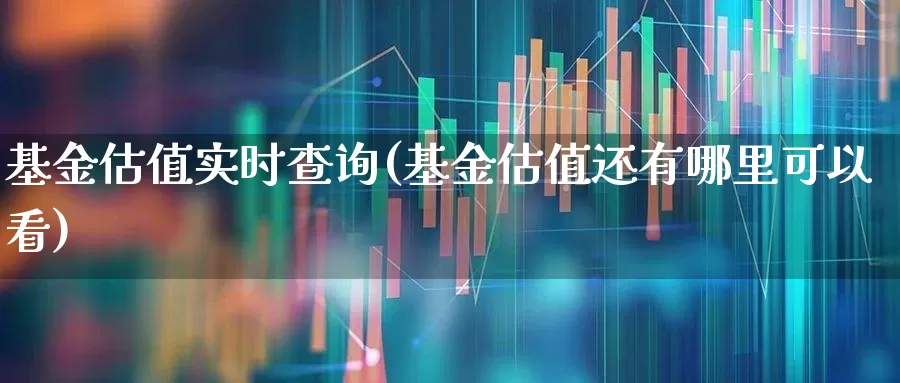 基金估值实时查询(基金估值还有哪里可以看)_https://www.shshucaipeisong.com_深交所_第1张