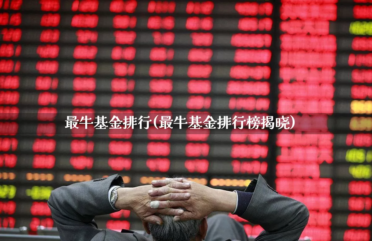 最牛基金排行(最牛基金排行榜揭晓)_https://www.shshucaipeisong.com_上交所_第1张