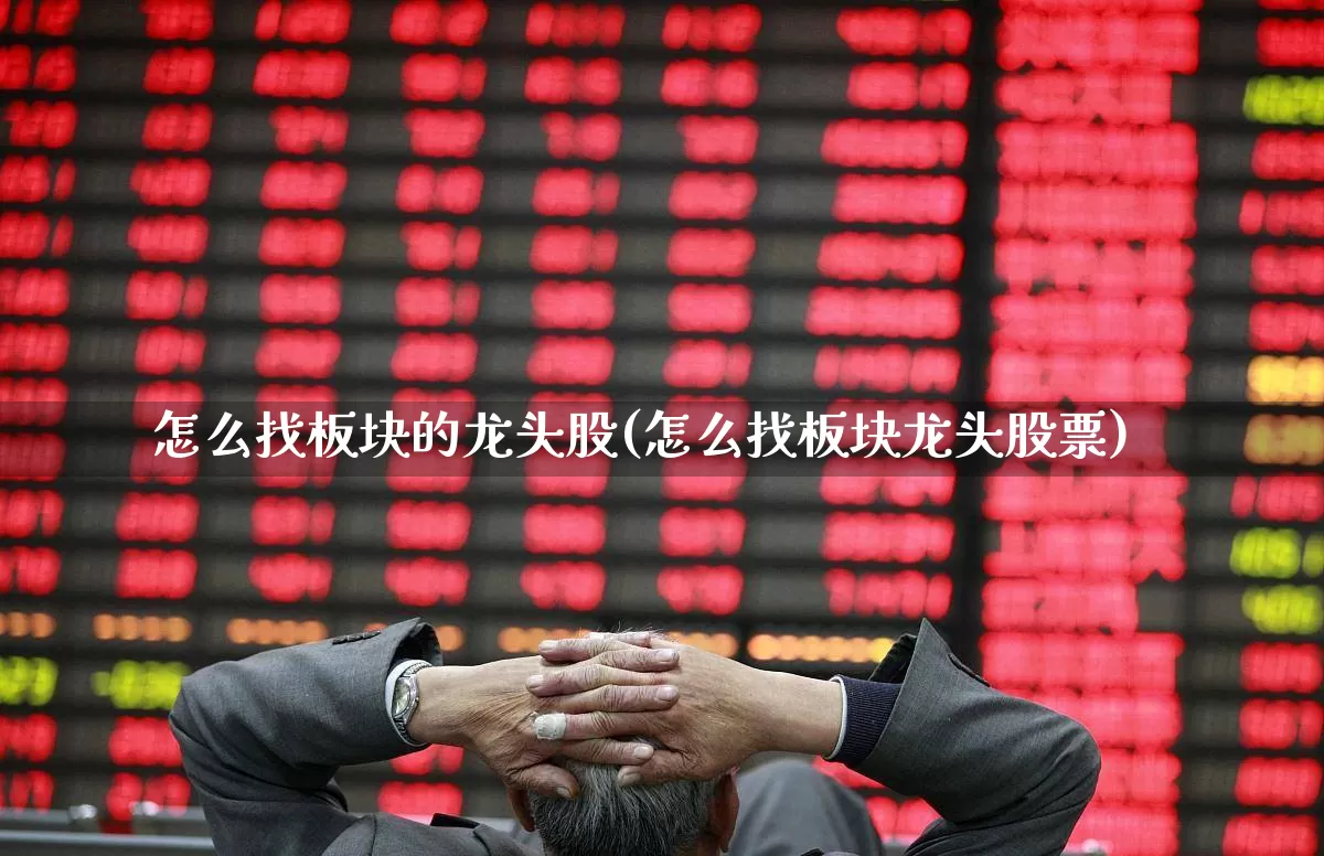 怎么找板块的龙头股(怎么找板块龙头股票)_https://www.shshucaipeisong.com_科创板_第1张