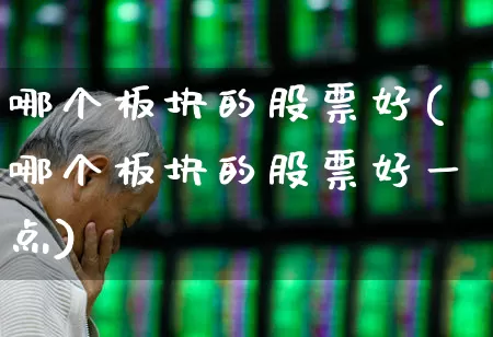 哪个板块的股票好(哪个板块的股票好一点)_https://www.shshucaipeisong.com_深交所_第1张