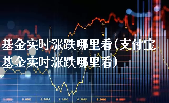 基金实时涨跌哪里看(支付宝基金实时涨跌哪里看)_https://www.shshucaipeisong.com_上交所_第1张