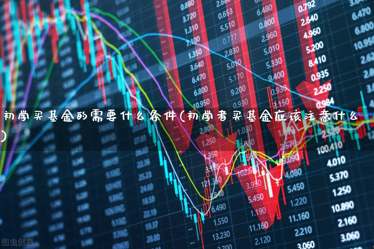 初学买基金的需要什么条件(初学者买基金应该注意什么)_https://www.shshucaipeisong.com_科创板_第1张