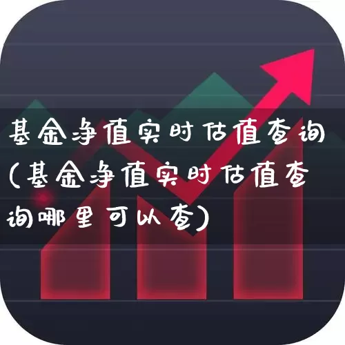 基金净值实时估值查询(基金净值实时估值查询哪里可以查)_https://www.shshucaipeisong.com_科创板_第1张