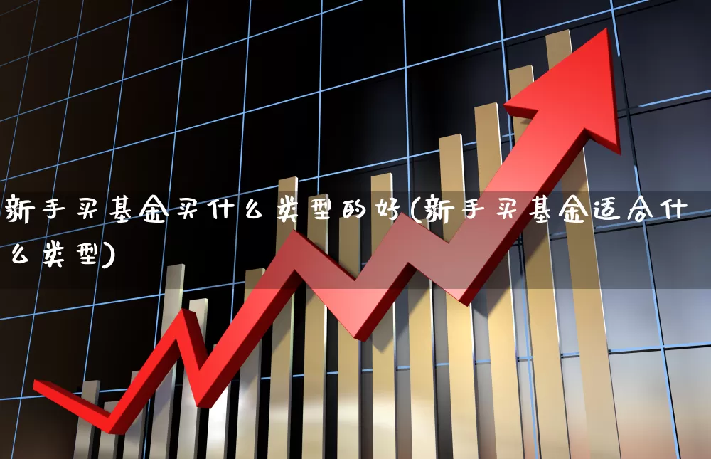 新手买基金买什么类型的好(新手买基金适合什么类型)_https://www.shshucaipeisong.com_科创板_第1张