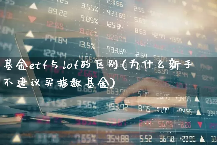 基金etf与lof的区别(为什么新手不建议买指数基金)_https://www.shshucaipeisong.com_北交所_第1张