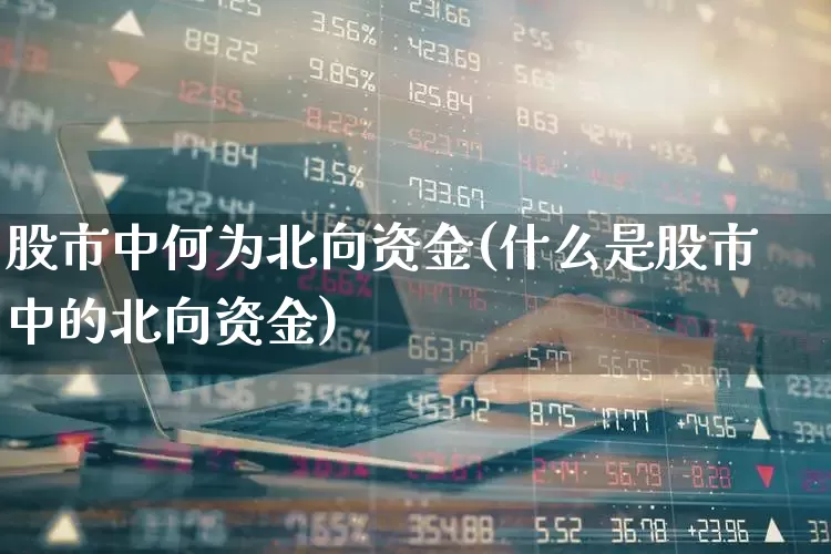 股市中何为北向资金(什么是股市中的北向资金)_https://www.shshucaipeisong.com_深交所_第1张