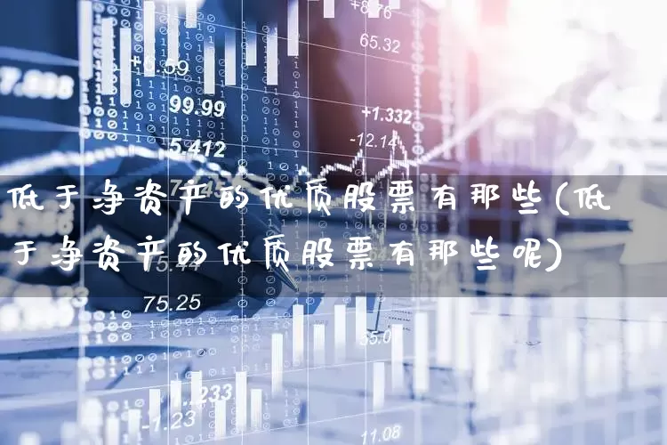 低于净资产的优质股票有那些(低于净资产的优质股票有那些呢)_https://www.shshucaipeisong.com_上交所_第1张