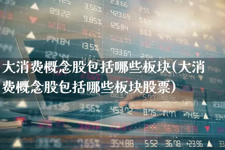 大消费概念股包括哪些板块(大消费概念股包括哪些板块股票)_https://www.shshucaipeisong.com_科创板_第1张
