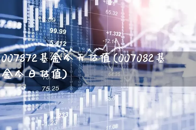 007872基金今天估值(007082基金今日估值)_https://www.shshucaipeisong.com_科创板_第1张