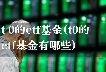 t 0的etf基金(t0的etf基金有哪些)_https://www.shshucaipeisong.com_科创板_第1张