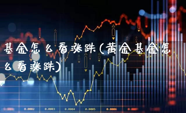 基金怎么看涨跌(黄金基金怎么看涨跌)_https://www.shshucaipeisong.com_深交所_第1张