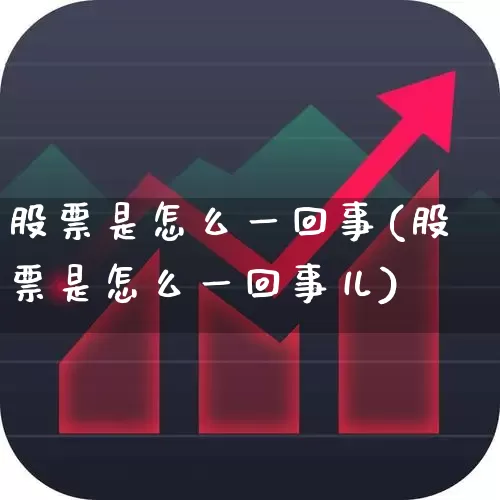 股票是怎么一回事(股票是怎么一回事儿)_https://www.shshucaipeisong.com_创业板_第1张