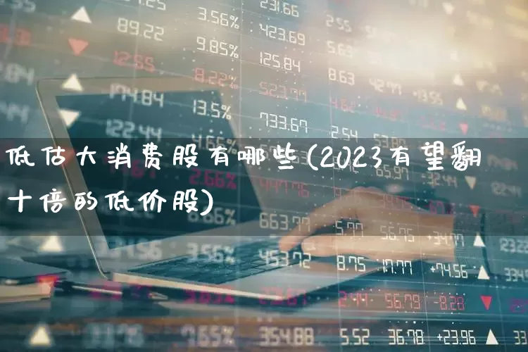 低估大消费股有哪些(2023有望翻十倍的低价股)_https://www.shshucaipeisong.com_北交所_第1张