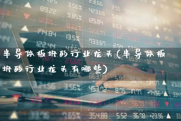 半导体板块的行业龙头(半导体板块的行业龙头有哪些)_https://www.shshucaipeisong.com_科创板_第1张