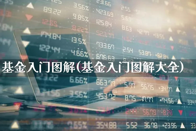基金入门图解(基金入门图解大全)_https://www.shshucaipeisong.com_上交所_第1张