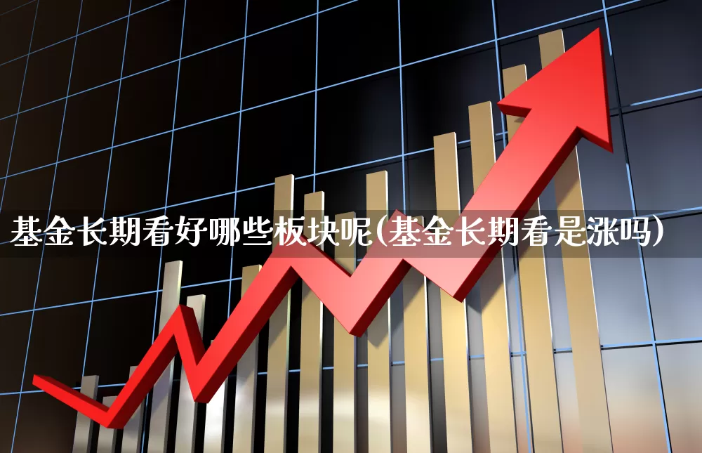 基金长期看好哪些板块呢(基金长期看是涨吗)_https://www.shshucaipeisong.com_科创板_第1张